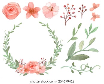Set of flowers and leaves vector on white background