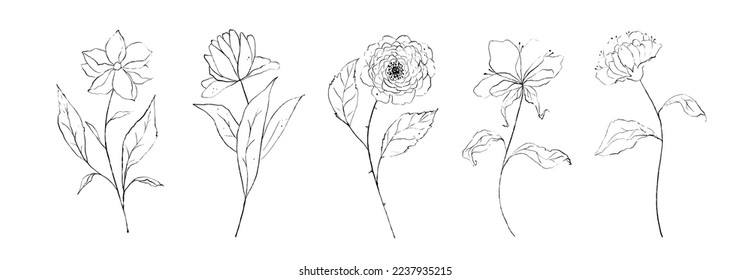 Juego de flores alineadas ramas de arte, hojas, plantas. Esbozo de lápiz de contorno botánico hojas florales aisladas en fondo blanco. Ilustración de vector simple dibujada por mano