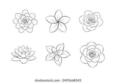 Conjunto de Vector de arte de la línea de flores. Ilustración de jazmín, nenúfar, rosa, frangipani y rosa china
