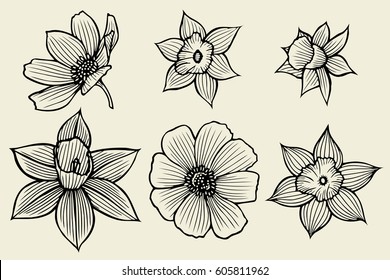 Set of flowers. Monochrome sketch. Vector illustration