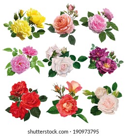 набор цветов, разноцветные розы с листьями