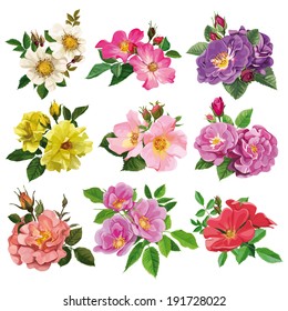 set of flowers, multicolored roses with leaves