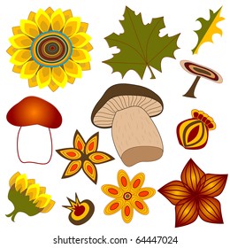 Set of flowers and mushrooms