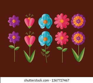 set of flowers nature