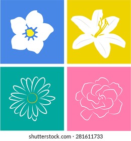 Set of flowers on colored backgrounds. Vector illustration