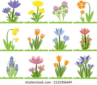 Set of flowers on the grass. Vector illustration.
