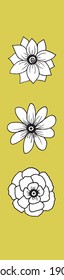 Set of flowers on a plane, buds open, line art in color.
