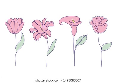 Set of flowers on white background. Tulip, lily, rose and calla flowers. One line drawing style.