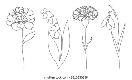 Set of flowers on white background. One line drawing style.