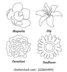 Satz Blumen auf weißem Hintergrund. Ein Zeichenstil für eine Linie. elegante Blume für druckbares Design. Magnolie, Lilie, Nelkensorte, Sonnenblume