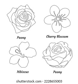 Satz Blumen auf weißem Hintergrund. Ein Zeichenstil für eine Linie. elegante Blume für druckbares Design. Kirschblüte, Hibiskus, Peronenblume.