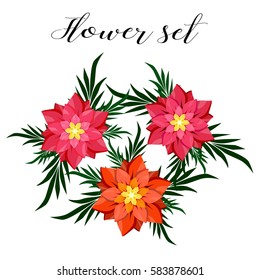 Set of flowers on a white background