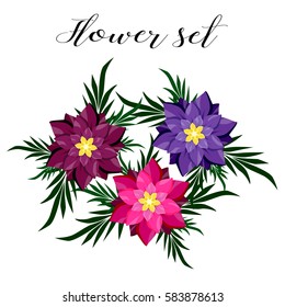 Set of flowers on a white background