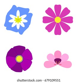 Set of flowers on a white background, flat style, Vector illustration
