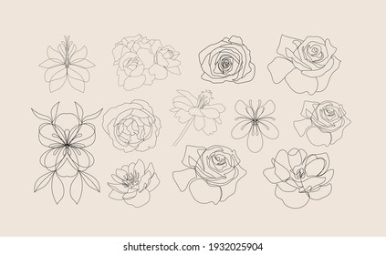 Blumenset in einem durchgängigen Stil. Einfache botanische Elemente. Minimalismus-Skizze. 