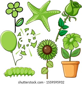 Set of flowers and other things in green illustration