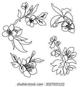 Set of Flowers Outline drawing Continuous line drawing Vector isolated illustration