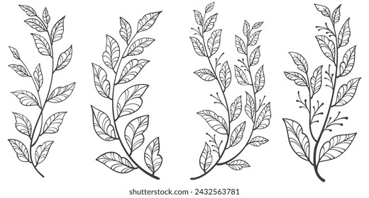 set of flowers. Outline Floral Botany. flower vector drawings. Black and white floral line art on transparent backgrounds. Hand Drawn Botanical Illustrations.Vector.
