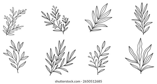conjunto de flores. Contorno Botânica floral. desenhos do vetor da flor. Arte de linhas florais em preto e branco sobre fundos transparentes. Illustrations.Vetor Botânico Desenhado À Mão.