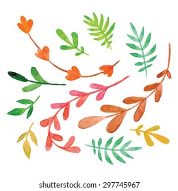Set of flowers painted in watercolor on white paper. Sketch of flowers and herbs. Wreath, garland of flowers