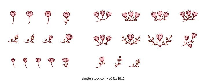 Set of flowers parts. Vector illustration collaction. Pink blossom and buds.