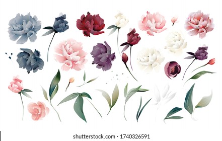 Set flowers peonies, leaves. Wedding concept. Floral poster Vector burgundy, pink, blue peony, watercolor  design 