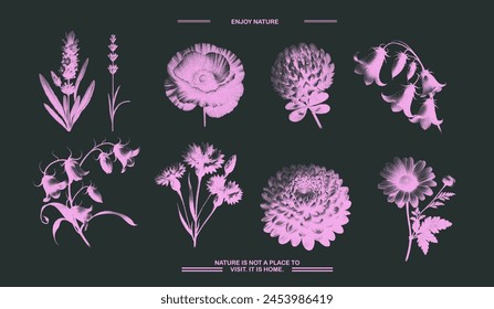 Set of flowers photocopy negative effect. Chamomile, bell flower, chrysanthemum, clover, lavender collection with grunge noise texture. Vector illustration