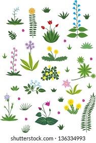 set, flowers, plant, grass, botany, 1960, children's,