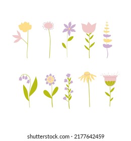 Set of flowers and plants. Floral decor, botanical design elements. Vector  illustration. 