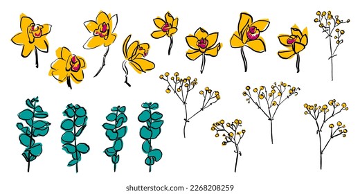 Flores y plantas. Ilustración vectorial floral. Orquídea, eucalipto, gypsophila mano dibujada con tinta