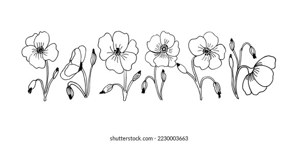 Está rodeado de adornos florales. Vector aisló los símbolos botánicos de florecimiento de los amapolas. Buquetes florales o conjuntos floridos de primavera para la decoración o la plantilla de saludos de vacaciones