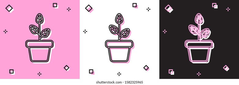 Set Flowers in pot icon isolated on pink and white, black background. Plant growing in a pot. Potted plant sign.  Vector Illustration