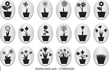 Set of flowers in pot illustrated on white