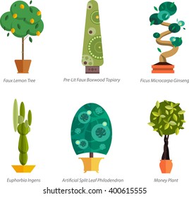 set of flowers in pot isolated for greenhouse or garden planting market vector illustration, houseplant with leaves like decoration element room at home collection, potted trees banner floristics shop