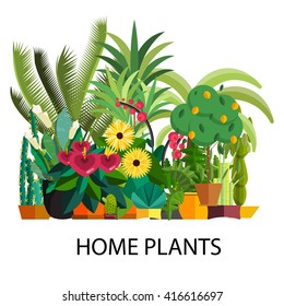 set of flowers in pot isolated for greenhouse or garden planting market vector illustration, houseplant with leaves like decoration element room at home collection, potted trees banner floristics shop