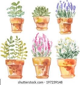 Set Flowers In Pot Watercolor Vector