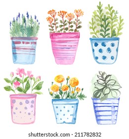 Set flowers in pot watercolor vector