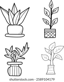 set of flowers in pots