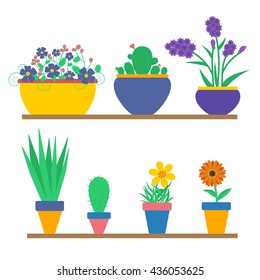 Set of flowers in the pots.