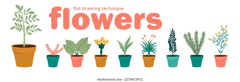 set flowers in pots. illustration flat image. vector hand drawn