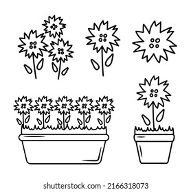 Set of flowers in pots isolated on white background. Set of flowering plants in pots. Floral bouquet, flower bud, flower. Vector illustration in doodle style