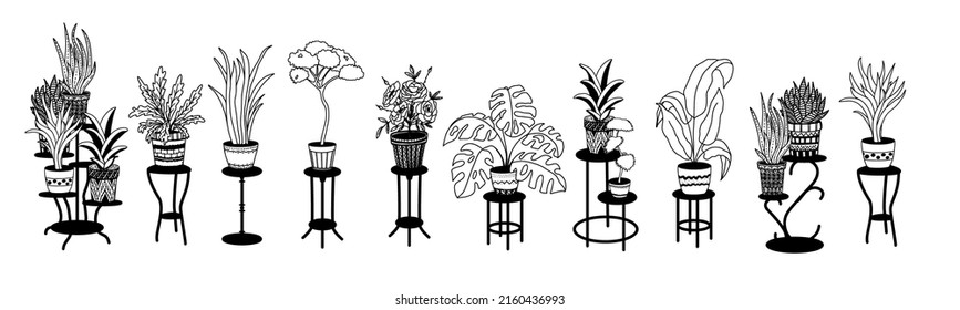 A set of flowers in pots on stands, home decor. Hand-drawn, linear black-and-white sketch. Large indoor plants outdoors. Vector illustration