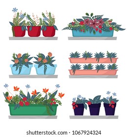Set of flowers in pots on wooden shelves on white background. 