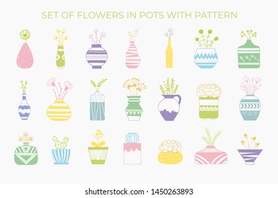 Set of flowers in pots with a pattern of different colors isolated on white background