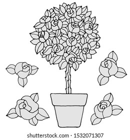 set with flowers in pots and roses in black and white