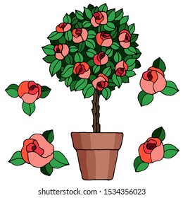 set with flowers in pots and roses in bright colors