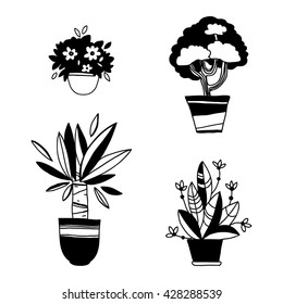 Set of flowers in pots. Vector illustration