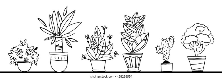 Set of flowers in pots. Vector illustration. Horizontal