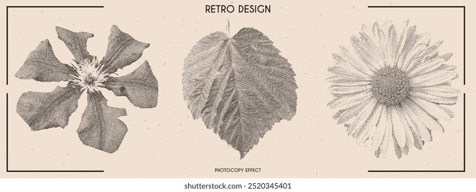 Set of flowers with retro photocopy effect. Chamomile, meadow flower, leaf. Dots stipple effect