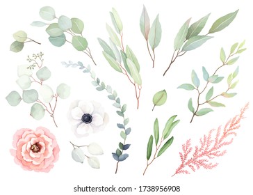 Set of flowers rose and white anemone, leaves and branches in vintage watercolor style. Vector floral illustration for design wedding card, invitation, greeting card, wrapping paper.